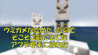 ＃29　さぼって天罰（録画ミス）を受けたので村人と交流　PS4マイクラ実況【マインクラフト】
