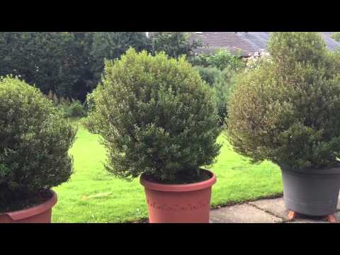 Sirenenprobe am 12.9.2015