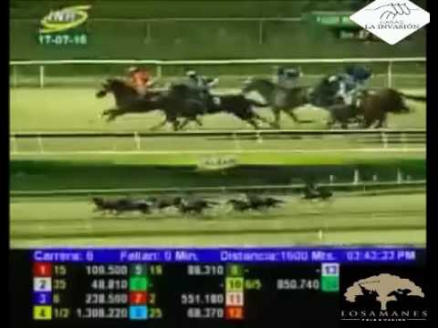 LA RICONADA 6 CARRERA, DOMINGO 17 DE JULIO DEL 2016