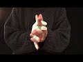 Advanced Pass Through Finger Fitness Exercises Explained