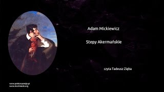 Kadr z teledysku Stepy Akermańskie tekst piosenki Adam Mickiewicz