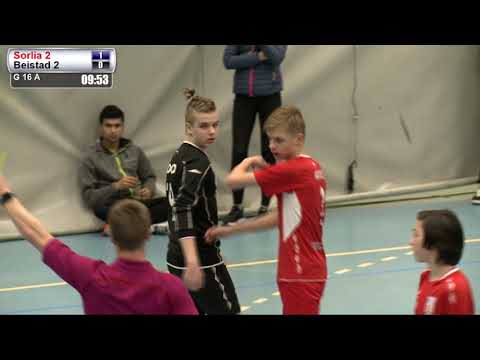 Gutter 16: Sørlia 2 - Beitstad 2