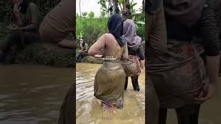 Download lagu Kehidupan sehari-hari seorang gadis desa di sawah. mp3 Download lagu Kehidupan sehari-hari seorang gadis desa di sawah. mp3