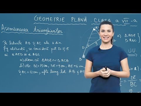 Asemănarea triunghiurilor prin cazul unghi-unghi și calculul laturilor - Clasa a VII-a