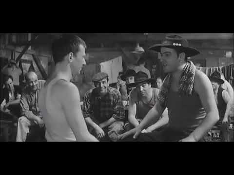 Pittiplatsch der liebe & Zimmermannstanz