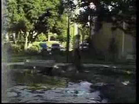 Amen Clinics Overview