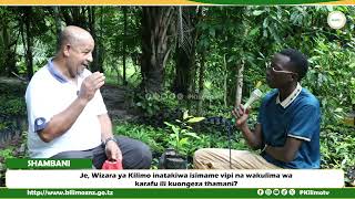 Je, Wizara ya Kilimo inatakiwa isimame vipi na wakulima wa karafu ili kuongeza thamani?