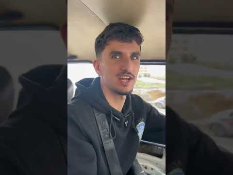 قط هاز حمامة