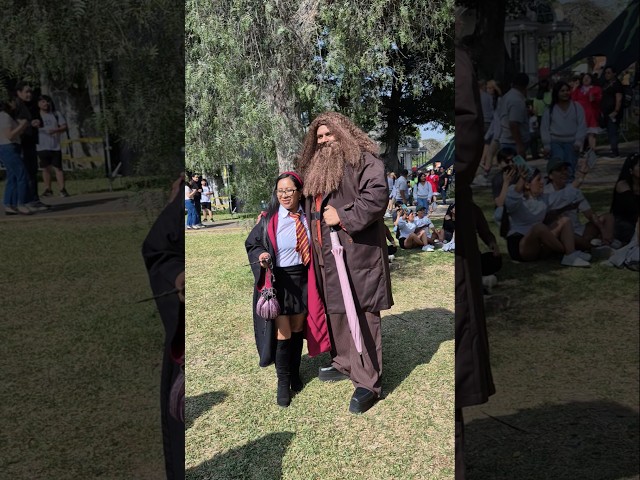 Vídeo relacionado con UILYNIU Wizard Peluca y Barba Larga Halloween Mago Cosplay Peluca con Barba Larga, Hombre Gris Recta para Fiesta de Disfraces de Mago Fiesta Navidad Cosplay Adulto (Gris)