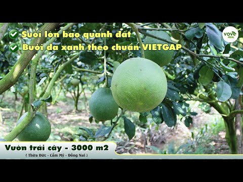 D076- Bán vườn trái cây 3000m2 có suối lớn bao quanh, ven sân bay Long Thành tại