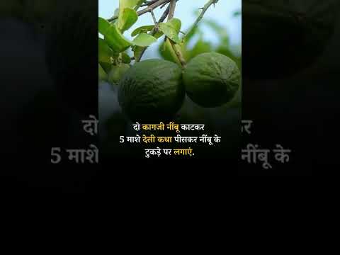 Ayurvedic Treatment for Hemorrhoids #ayurvedic #ayurvedicmedicine #ayurvediccooking #piles #shorts