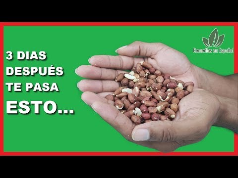 🔴 Come Mani o Cacahuate y Esto Pasará a Tu Cuerpo los 3 Dias ✅ 🥜
