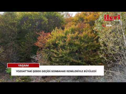 Yozgat’taki Şebek Geçidi sonbahar renkleriyle büyüledi | İleri Gazetesi