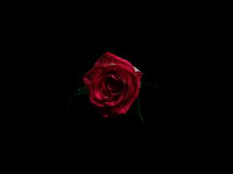 Moveon - Numer (Prod. Misery)