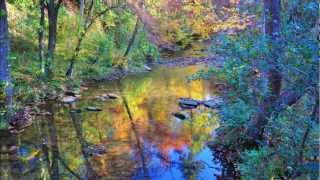 A Guy Called Gerald (Feat Louise Rhodes) - Humanity