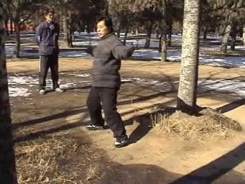 Baguazhang 5th Palm Change