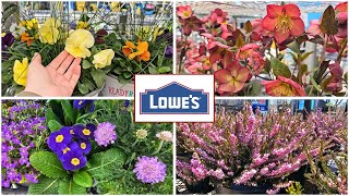 LOWES NEW ARRIVALS! March 2025 Garden Center Inventory! Perennials, Annual Flowers, Shrubs, Trees!