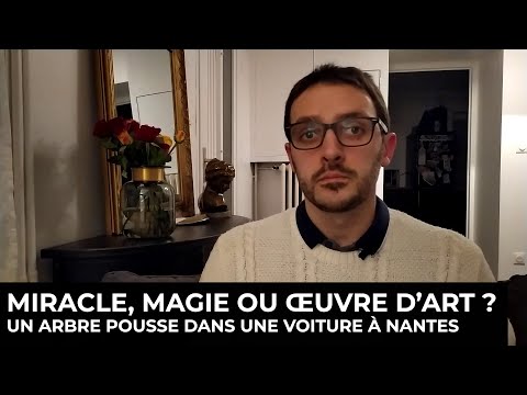 Miracle, magie, ou œuvre d'art ? Un arbre pousse dans une voiture à Nantes Miracle, magie, ou œuvre d'art ? Un arbre pousse dans une voiture à Nantes