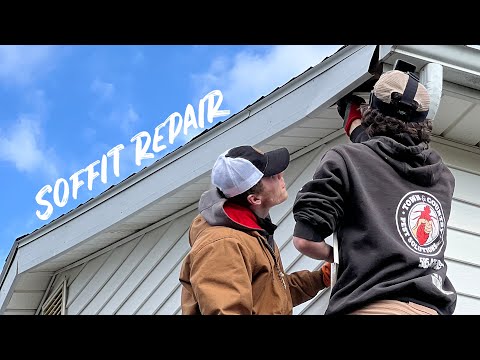 YouTube video about: How to remove birds from soffit?