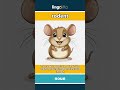 rodent (noun) - definition and usage in English