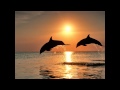 Ricky Martin - Casi Un Bolero (Rumba).wmv
