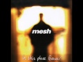 mesh - something wrong 