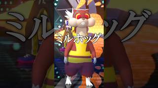 使用率最下位『ミルホッグ』の秘奥義【ポケモンチャンピオンズ実況 切り抜き】