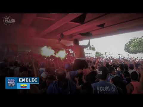 "Boca del Pozo - Hinchada de Emelec" Barra: Boca del Pozo • Club: Emelec