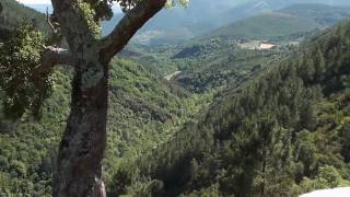 preview picture of video 'ruta botánica por As Laceiras.MP4'