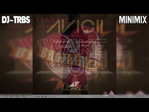 Bromance Me Up vs. Levels (TRBS Minimix) [Tribute Version]