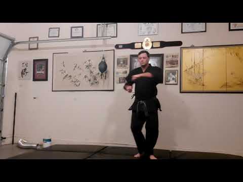 Pinan 5 – Sensei Stephen Jeckel