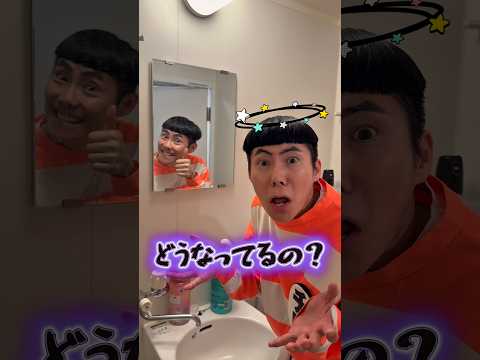 【コント】かがみの中にもうひとりのチロがいる😱😆👍