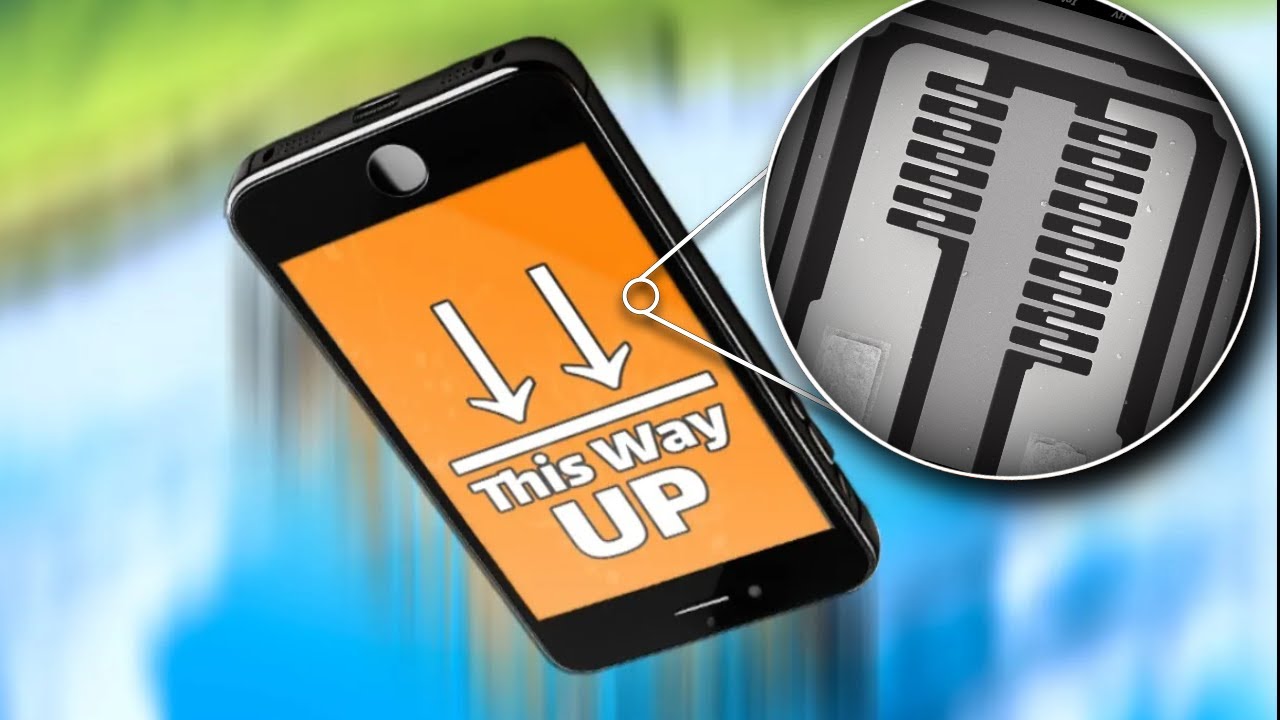 The Micro Mechanisms in Your Phone
