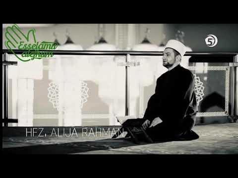 čovjek u stanju ljutnje // hfz. Alija Rahman