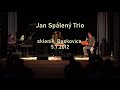 Jan Spálený trio