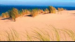 French Property: Seaside apartments For Sale in Aquitaine, France- MIMIZAN-PLAGE.. From 196,000€.