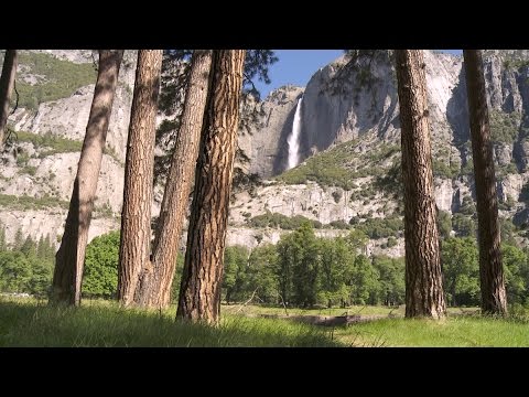 Soundscapes - Yosemite Nature Notes - Episode 29