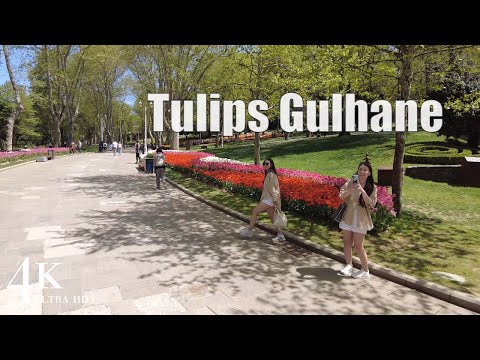 【4K】Istanbul 2022 Gulhane Park and Tulip Festival Fatih