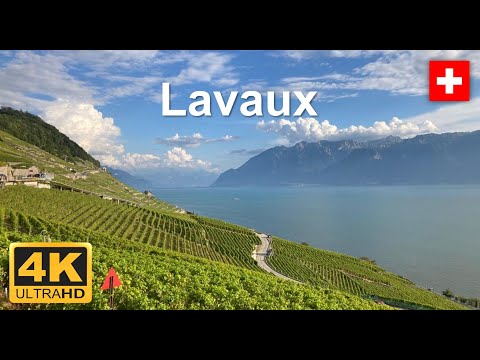Lavaux - Epesses Swiss Riviera - 4K Walking tour - September #switzerland #epesses #montreux #lavaux