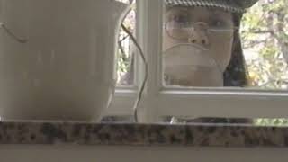 【第268回】木下優