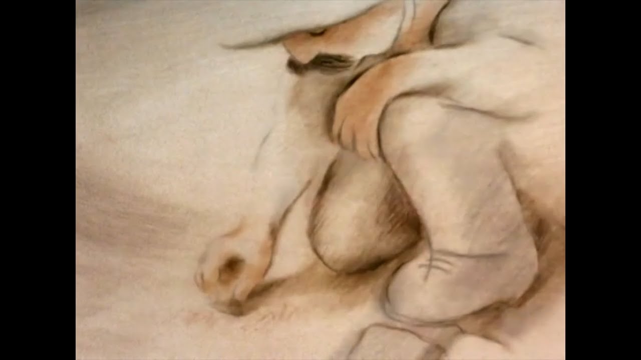 O homem que plantava árvores 1987 Jean Giono