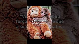 Ele Foi Rejeitado Pela Mãe, Mas Olha o Que Ele Fez Para Sobreviver... 💔#shorts #punch