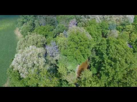 Dingman Creek Drone Footage - Zone C