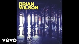 Brian Wilson - This Beautiful Day (Audio)