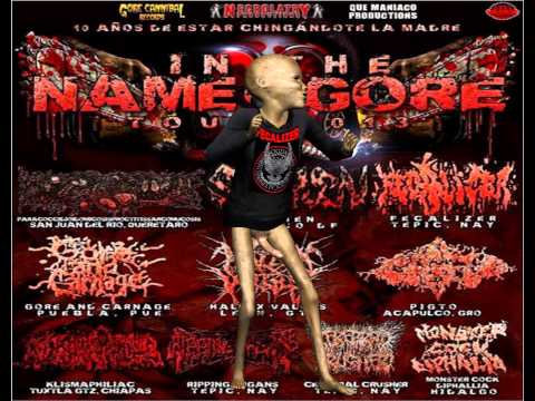 IN THE NAME OF GORE TOUR 2013 PROMO VIDEO. FECALIZER - DxExAxDx