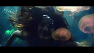 Livin&#39; The Life [Afrojack Remix] - Ananya Birla