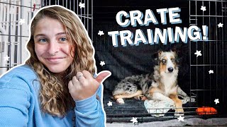 10 Crate Training Tips That ACTUALLY Work! How I Crate Trained My Puppy in ONE WEEK!