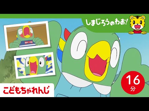 【16分アニメ】とりっぴいの成長記録│友達│家族│仲直り │兄弟 │しまじろうのわお！アニメ│しまじろうチャンネル公式