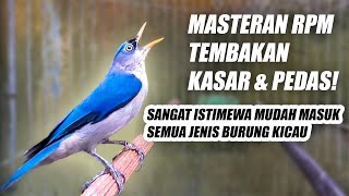 Download lagu RAMBATAN PARUH MERAH GACOR!! MASTERAN RPM NEMBAK KASAR RAPAT PANJANG JERNIH COCOK BUAT SEMUA BURUNG mp3 Download lagu RAMBATAN PARUH MERAH GACOR!! MASTERAN RPM NEMBAK KASAR RAPAT PANJANG JERNIH COCOK BUAT SEMUA BURUNG mp3