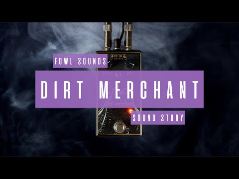 Sound Study // Fowl Sounds - Dirt Merchant
